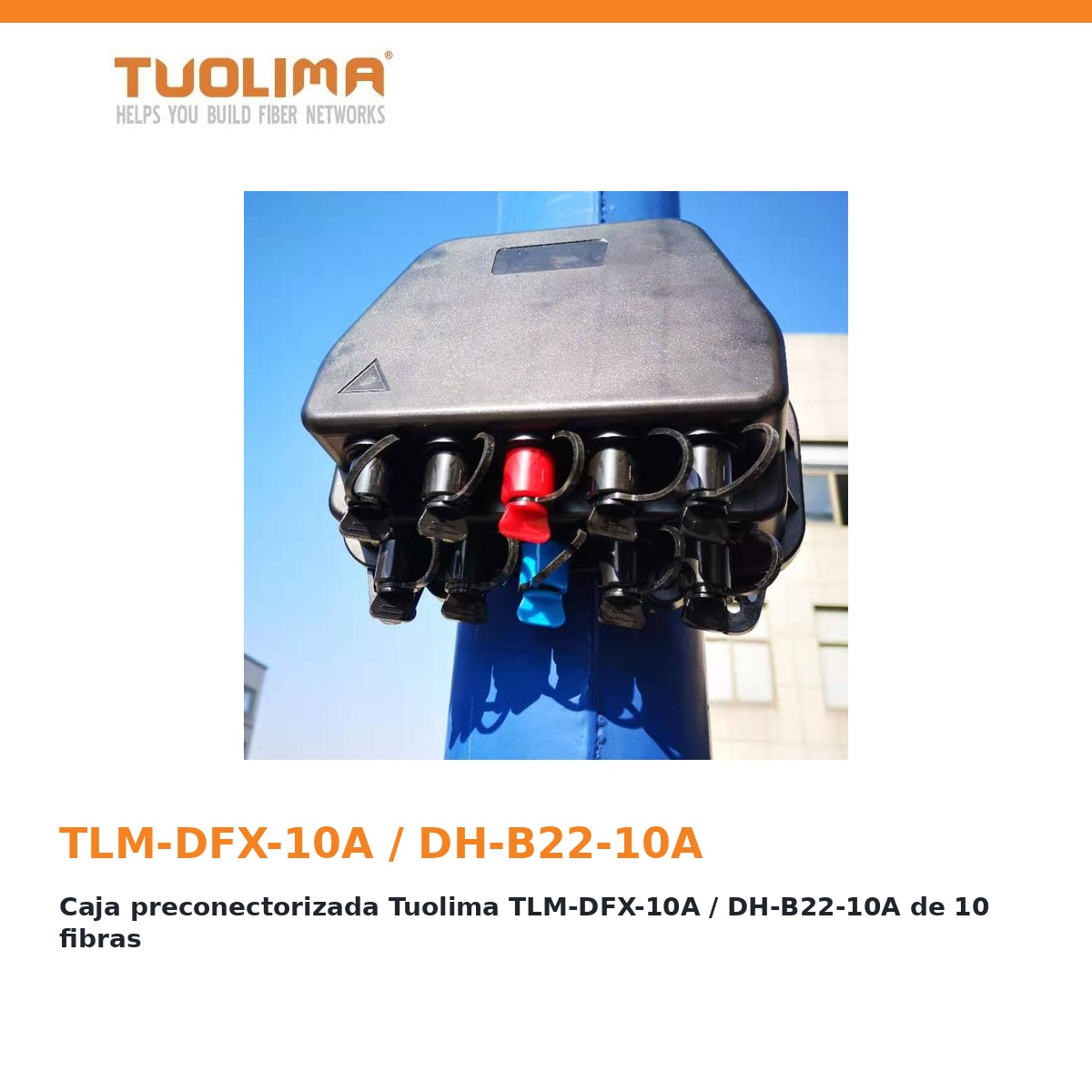 Caja preconectorizada Tuolima TLM-DFX-10A / DH-B22-10A de 10 fibras